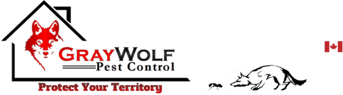 Gray Wolf Pest Control - Chimesofyourlife E4155 Wind Chime 19-inch Grey Hound (683x190), Png Download