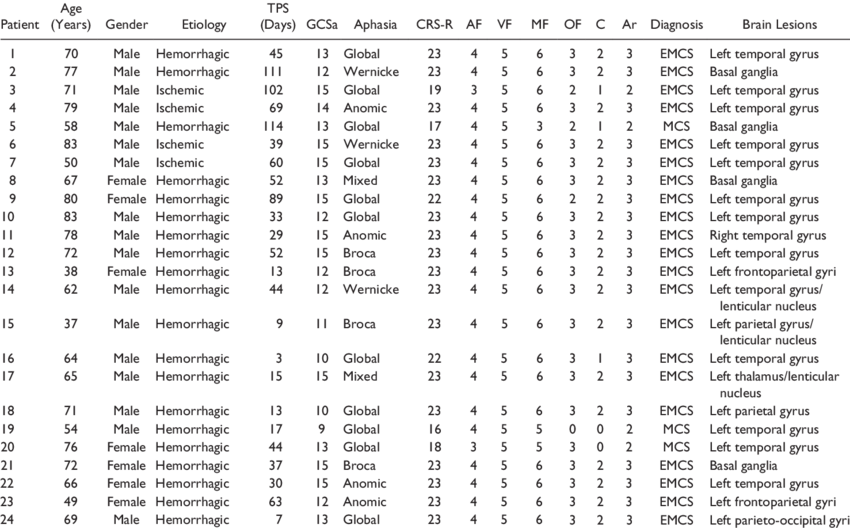 Demographic Data Of Each Patient With Aphasia - Om Uncle's Chinese Corner (850x528), Png Download