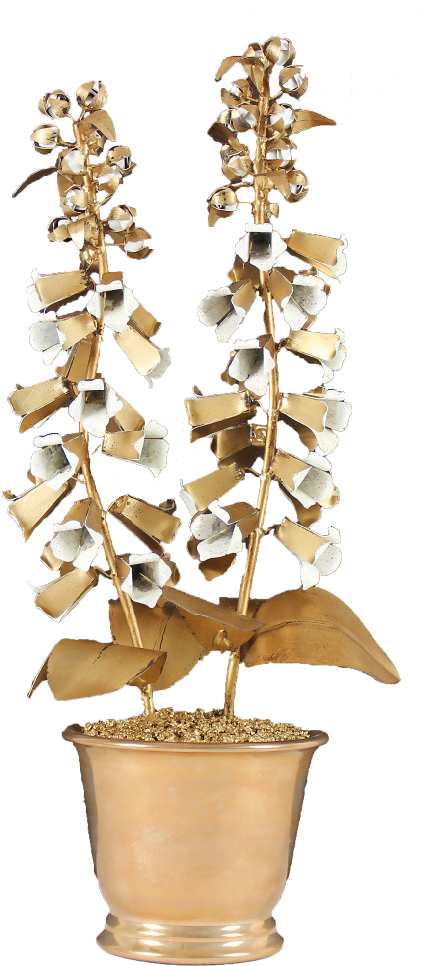 Gilded With Ivory Blooms - Ivory (1000x2077), Png Download