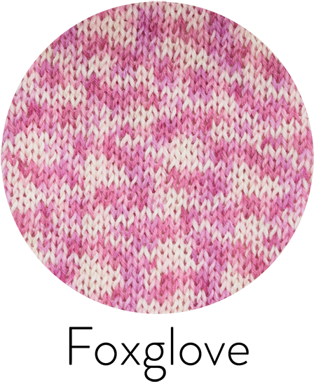 Foxglove 802 Wys The Florist Collection - Foxgloves (591x591), Png Download