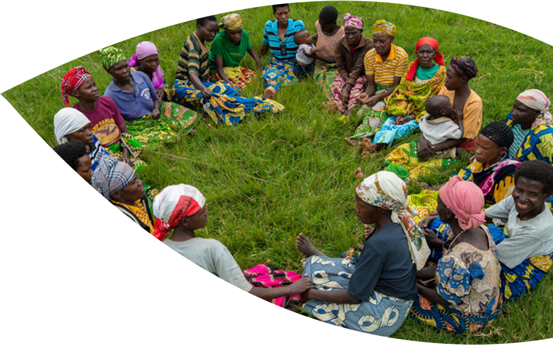 Why Foxglove - Foxgloves (1804x1125), Png Download