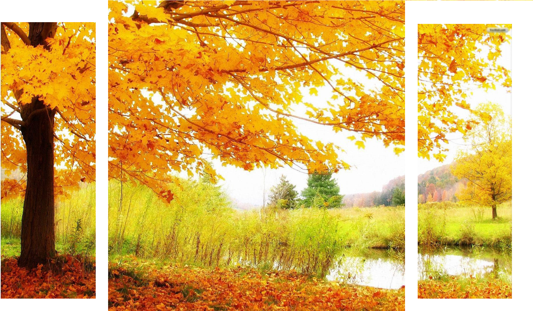 Autumnsplash Alt Banner - Autumnal Scene Desktop Background (1920x1080), Png Download
