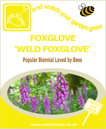 Foxglove - Wild Foxglove - Suttons Seeds Lupin Seeds Russell Mix (346x418), Png Download