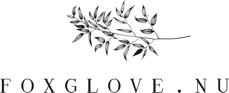 Foxglove - Nu - Foxgloves (800x324), Png Download