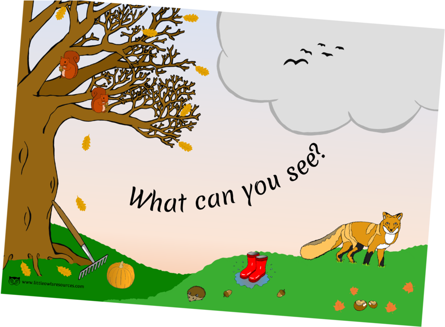 Autumn What Can You Seecover (1000x667), Png Download