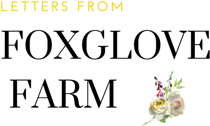 Foxglove Farm Logo Header Version 2 - School (1000x625), Png Download