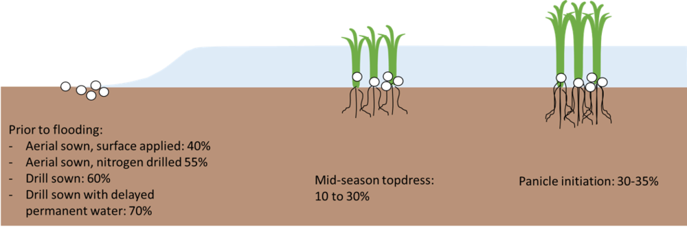M#season Topdressing Has Lower Efficiency Than Other - Portable Network Graphics (1000x331), Png Download