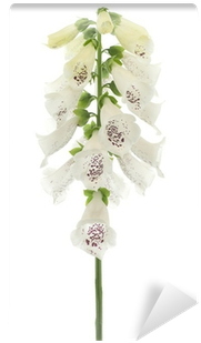 Artificial Flower (400x400), Png Download