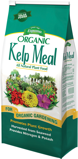 Kelp Meal - Tree Tone (300x560), Png Download