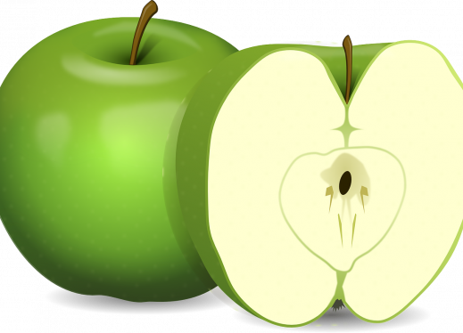Drawing Of A Green Apple And A Cross Section Of The - Green Apple (519x374), Png Download