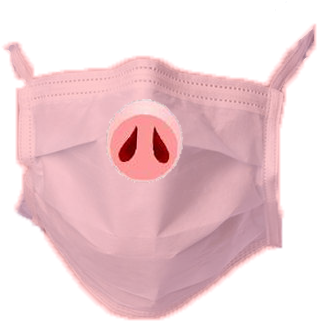 Are You Worried About The Pigs Flu - Panties (399x375), Png Download