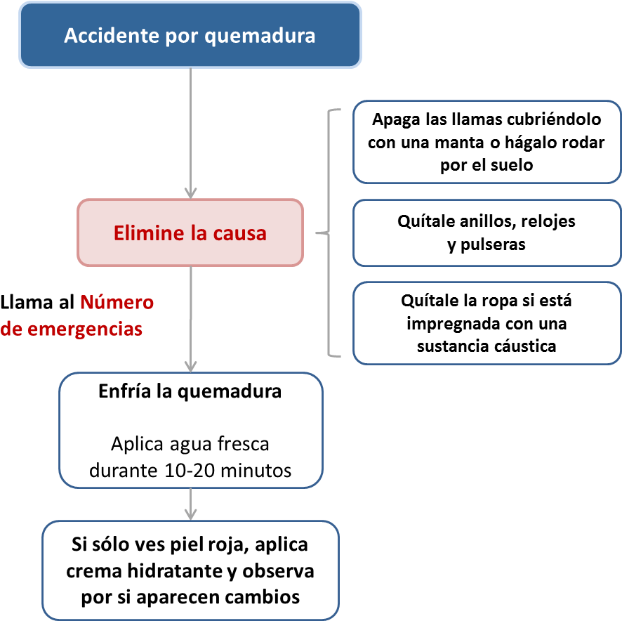 Pasos Básicos A Seguir Ante Un Niño Que Ha Sufrido - Pasos A Seguir En Caso De Quemaduras (905x884), Png Download