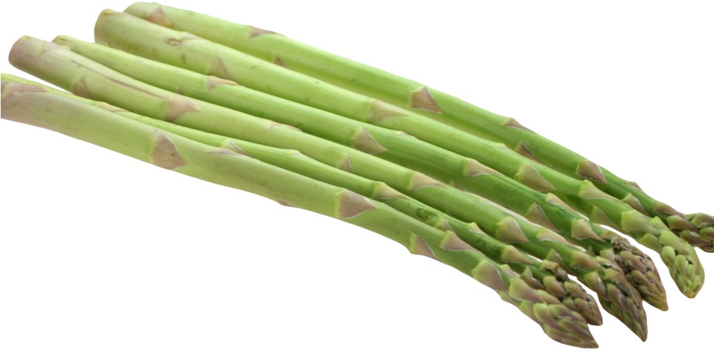 Download Asparagus Png Image1 - Asparagus Png PNG Image with No