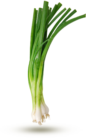 Onion - Oignon Vert Png (310x540), Png Download