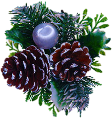 Pinecones - Christmas Tree (501x535), Png Download