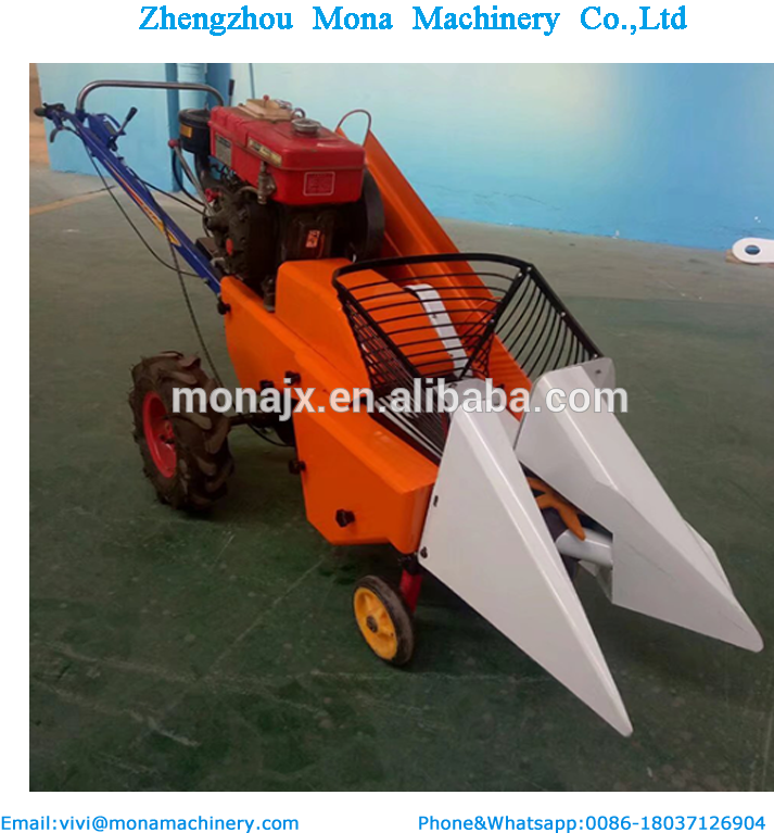 Mini Green Onion Leek Chives Cutting Reaping Machine - Garlic (800x800), Png Download