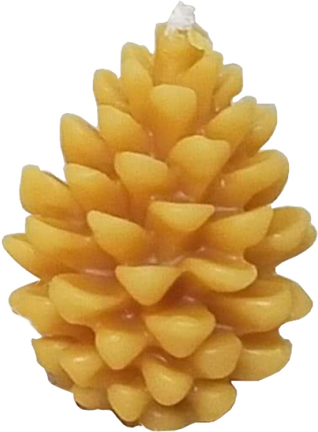 Small Pinecone - Conifer Cone (700x700), Png Download