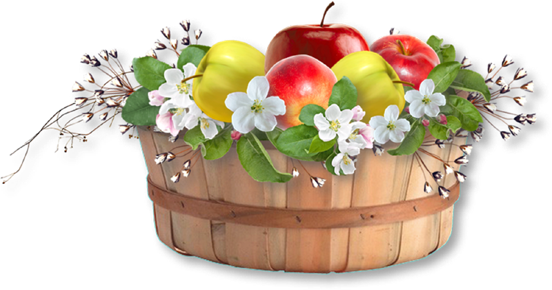 Baskets With Apples - .net (800x421), Png Download