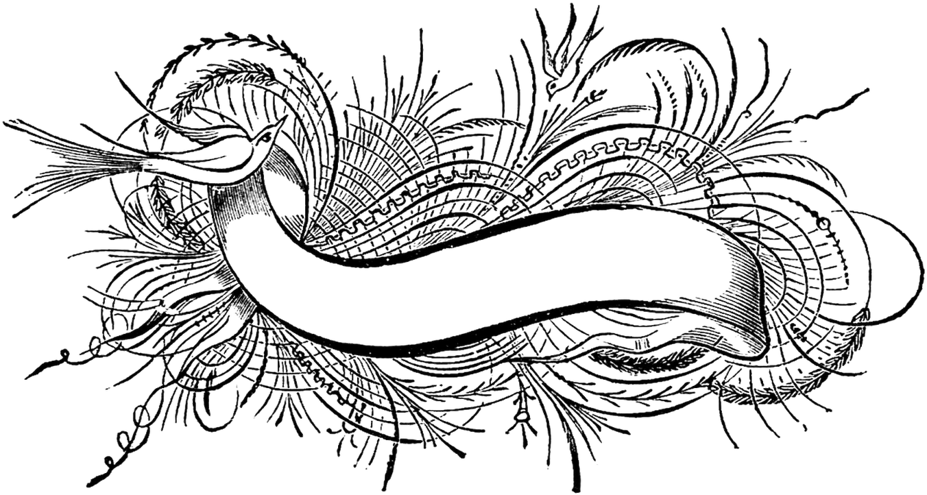 This Is A Beautiful Label Digital Stamp Of A Calligraphy - Banner Clip Art (1600x963), Png Download