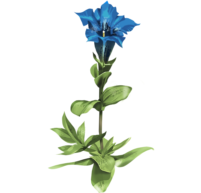 It Was Once Written Of This Famous Bitter Plant That - Herb (700x700), Png Download