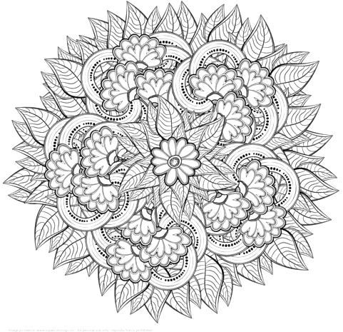 Zentangle Png Image - Detailed Zentangle Coloring Pages (480x480), Png Download