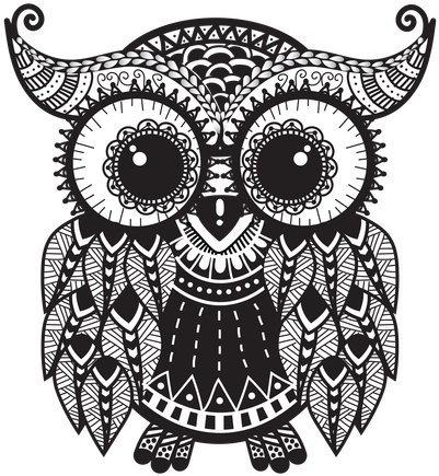 Take A Journey Owl: Blank Lined Diary Journal Book (600x600), Png Download
