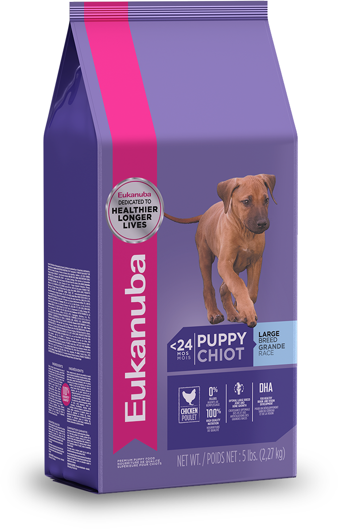 Puppy Eukanuba® Large Breed Puppy Food - Eukanuba Large Breed Premium Puppy Food 5 Lbs (946x1128), Png Download