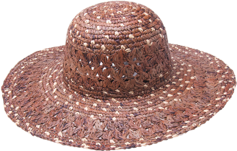 Boca 100% Raffia Straw Hat Brown - New Women's Peter Grimm Boca, One Size (21), Brown (510x510), Png Download
