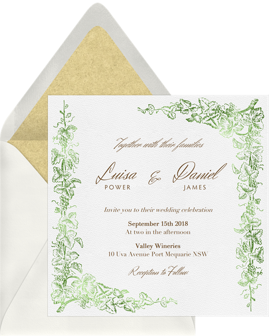 Grapevine Border By Claudia Owen - Celebrations Intertwined Vines Invitation (550x686), Png Download