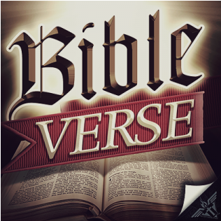 Bible (600x315), Png Download