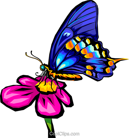 Mariposa Libres De Derechos Ilustraciones De Vectores - Butterfly On Flower Clip Art (448x480), Png Download