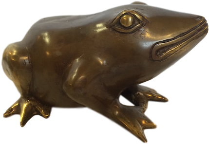 Toad - Eastern Spadefoot (480x360), Png Download