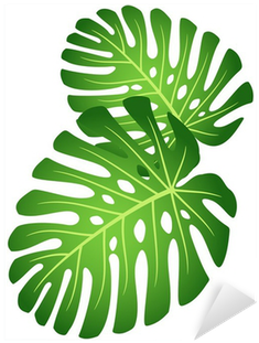 Adesivo Foglie Della Pianta Tropicale - Elephant Ear Plant Clip Art (400x400), Png Download