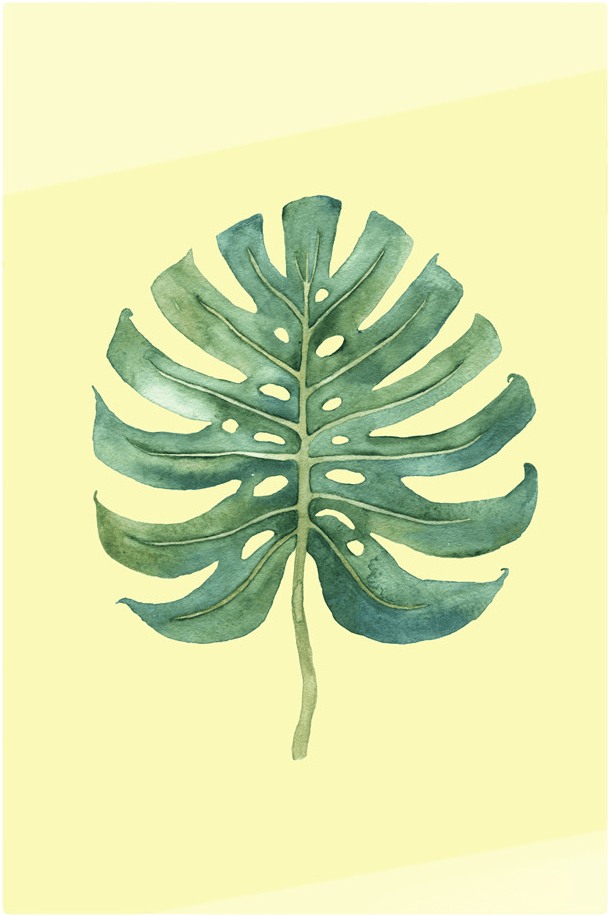 The Monstera Print - Illustration (2000x1036), Png Download