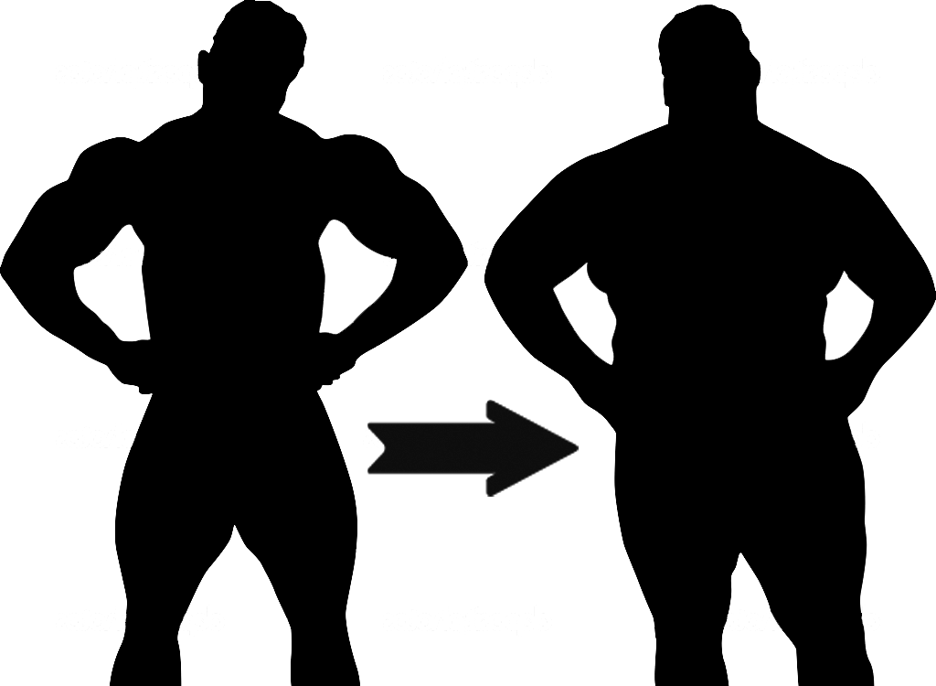 You Barely Look Any Better Than Before - Fat Woman Silhouette Png (1024x750), Png Download