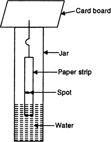The Number Of Components In Ink Dye Is Equal To The - Central Board Of Secondary Education (354x453), Png Download