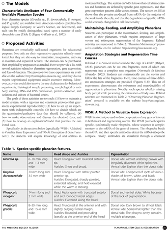 Document (380x501), Png Download