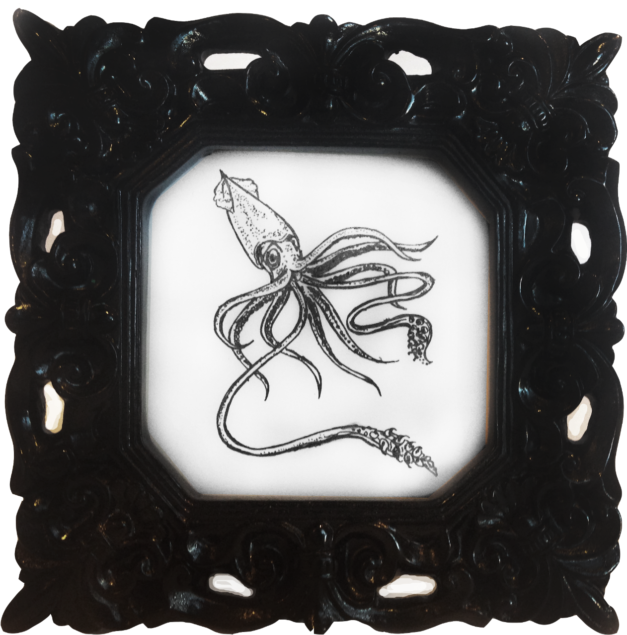 The Ornate Frames Reach Back To A Time Where Science - Picture Frame (1489x1500), Png Download