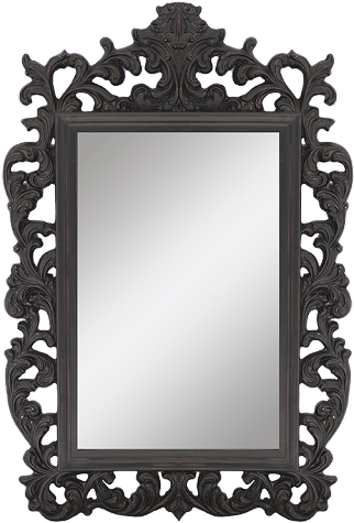 Home > Wall Decor & Mirrors > Ricci Ornate Wall Mirror - Paragon 8642 Ricci Black Mirror (480x480), Png Download