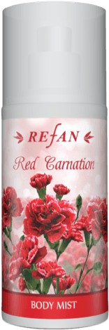 Red Carnation - Azalea (282x600), Png Download