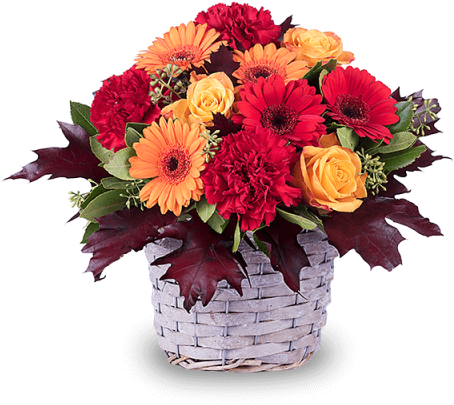 Gerberas And Carnations - Buchete De Flori De Toamna (480x480), Png Download