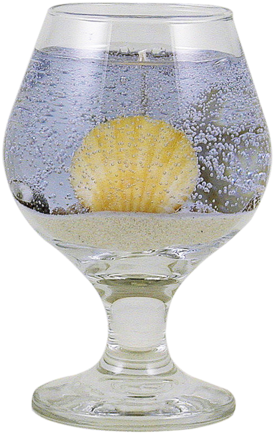 Brandy Glass Candle With Shells - Gulf Breeze (384x480), Png Download