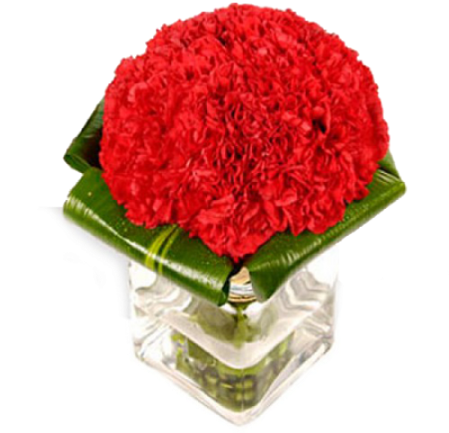 Red Carnations (500x500), Png Download
