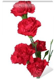 Red (400x400), Png Download