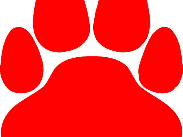 Cat Paw Print Graphic - Lacey Township High School Logo (640x480), Png Download