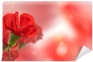 Beautiful Red Carnation Flower Over Natural Blurred - Garden Roses (400x400), Png Download