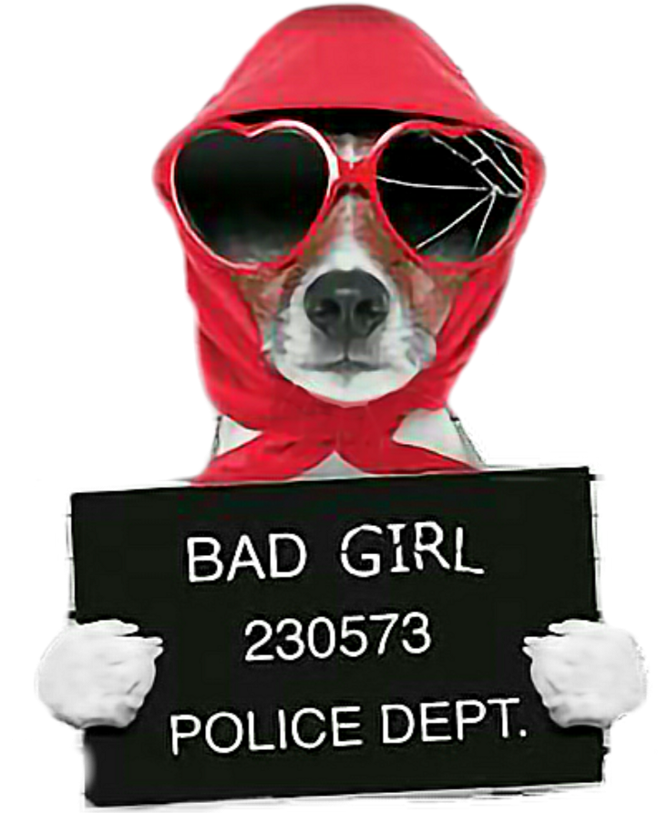 Bad Girl (1024x1024), Png Download