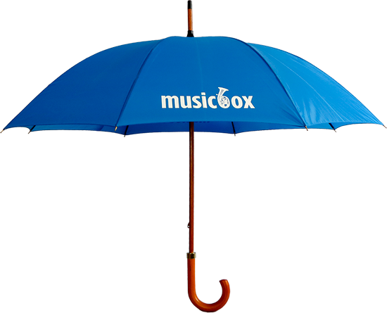 Budget Woodstick Product Banner Image - Guarda Chuva Azul (550x445), Png Download