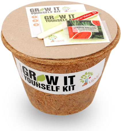 Fruit (427x480), Png Download