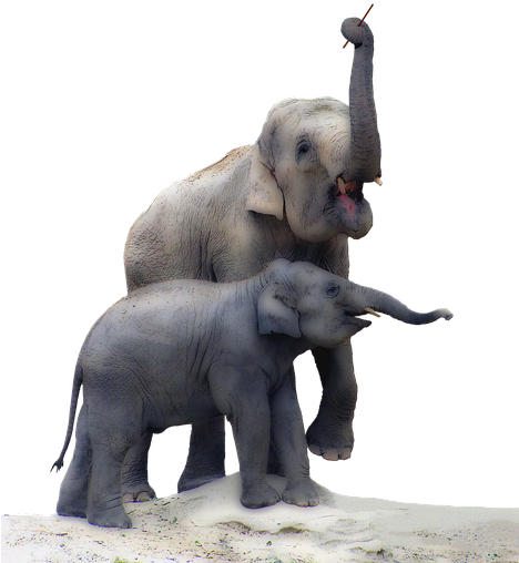 Free Photo Isolated Trunk Elephant Illustration Baby - Elephant With Baby Transparent (467x640), Png Download